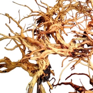 키시레움 유목 L사이즈 45~60cm