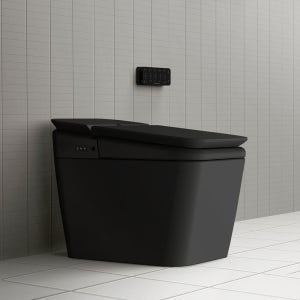 아메리칸스탠다드 비데일체형 변기 블랙 플랫 양변기 8312 3600