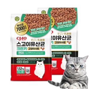 (랜덤간식증정) 이나바 CIAO 스고이 유산균 크런키 대용량 사료 연어, 1.52kg, 2개