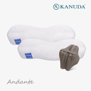 [가누다] 블루라벨 안단테 Soft 더블세트(베개2+소마냅1) 메모리폼 경추 기능성 베개