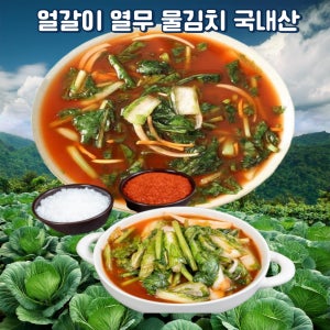 당일제조 출고 얼갈이 열무 물김치 1kg, 3개