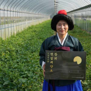 토댁 성주 참외 못난이참외 3kg, 1개