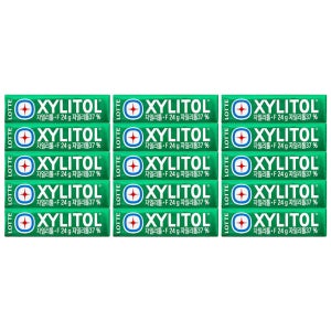 롯데 자일리톨 껌 24gx15개