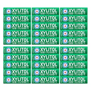 롯데 자일리톨 껌 24gx30개