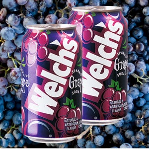 웰치스 포도 355ml 24캔 2박스 음료수 뚱캔 업소용 탄산음료 PC방 식당 도매