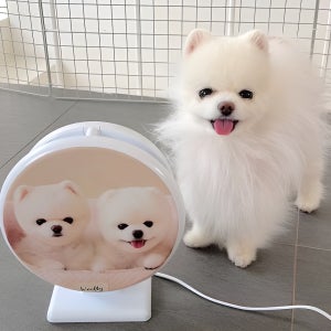 스카이원 가정용 포충기 스카이제로 미니 벌레 해충퇴치기 반려동물 심장사상충 방지 로고 인쇄