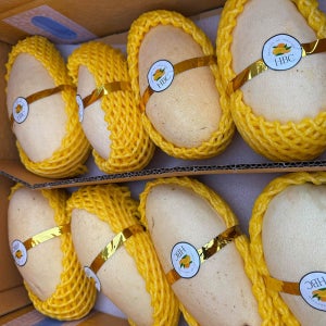 항공직송 고당도 태국망고 골드망고 애플망고 2kg 4kg