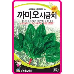 시금치 씨앗 30g / 까미오 고온기전용 시금치 종자 쌈 채소 사계절재배 봄 여름 가을