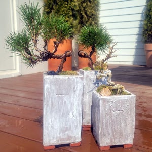 분재 토분 만들기 분재나무꾸미기 체험