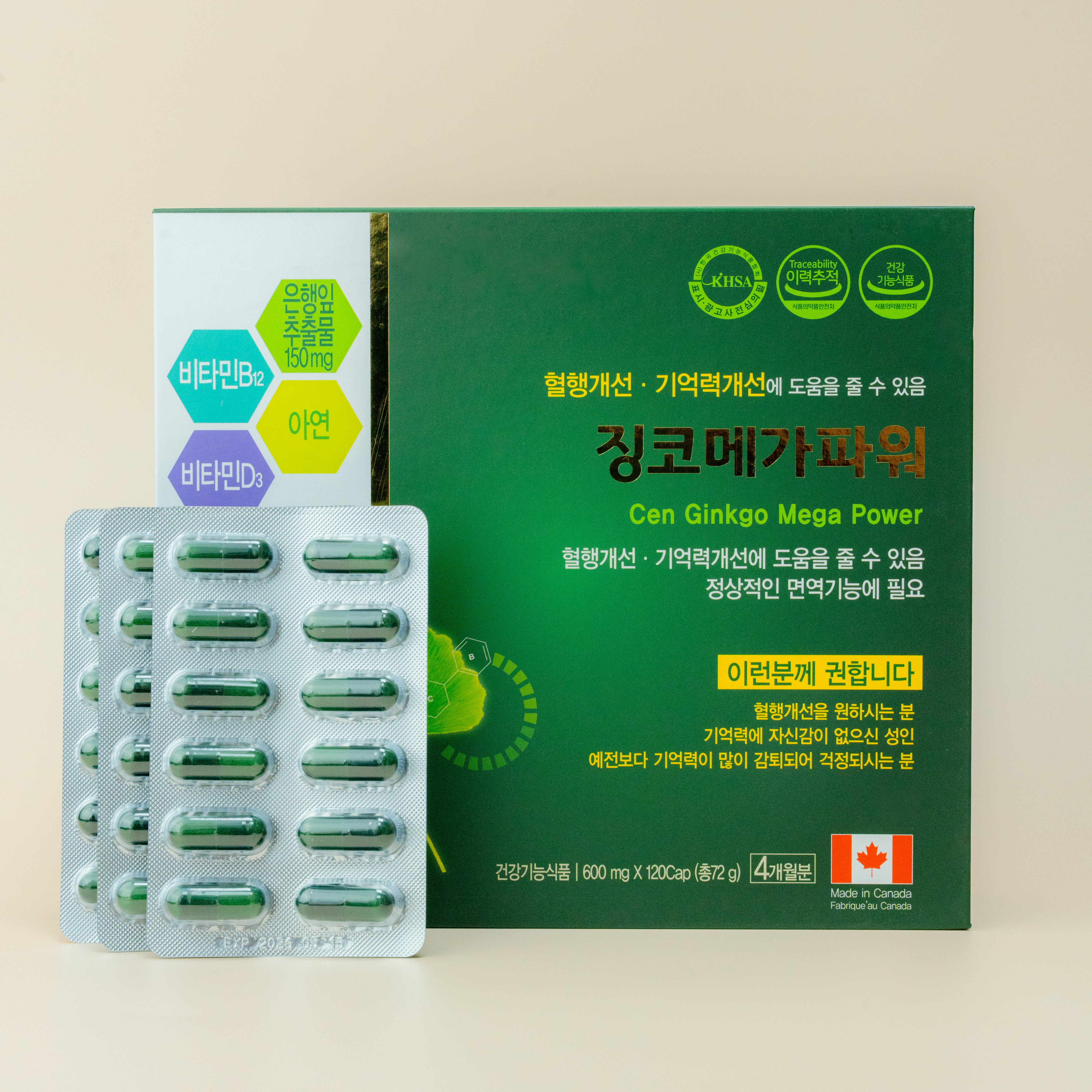 징코 메가 파워