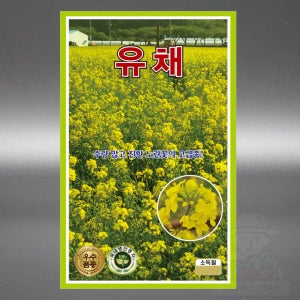 KS 유채 씨앗 30g 노란 야생화 유채꽃 국내생산 씨앗 씨 종자