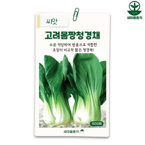 다농 고려몸짱청경채 씨앗 1500립 청경채 씨 종자