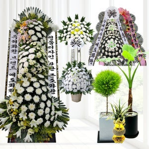 광주광역시 화환배달 빛장례식장 근조 3단 상조 화환 배송 결혼 결혼식 개업화분 전국 꽃배달