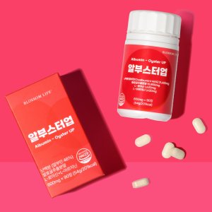 알부스터업 알부민 유산균으로 발효굴추출물 정 90정