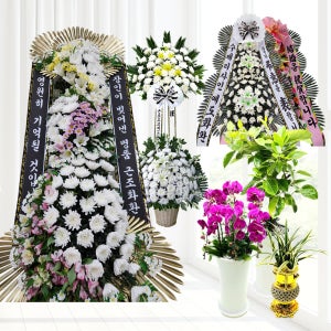 대구 화환보내기 근조 장례식장 대구시 축하 개업 결혼 결혼식 개업화분 상조 전국 꽃배달