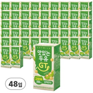 남양유업 맛있는 두유 GT 고칼슘 담백한맛 190ml, 48개