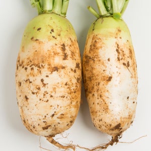 신선해서 더 아삭한 햇 수확 무 3kg 5kg