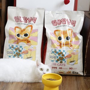 마쭈의일용할냥식 올라이프, 10kg, 2개
