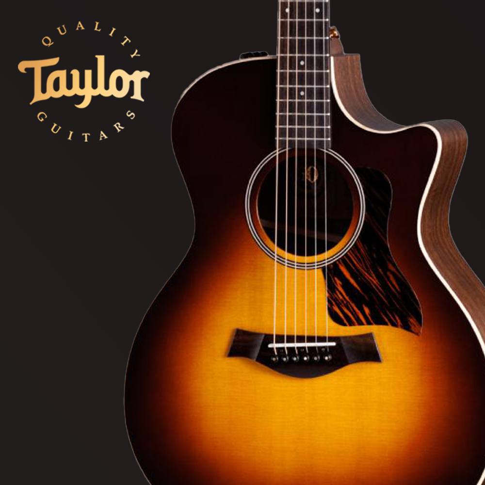 Taylor 테일러 TAYLOR AD14ce SB LTD 50주년 어쿠스틱 기타