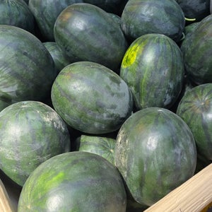 프리미엄 흑수박 고당도 유명산지 꿀수박