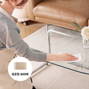 크린아이 먼지종결자 정전기 청소포 대용량 벌크 표준형 400매
