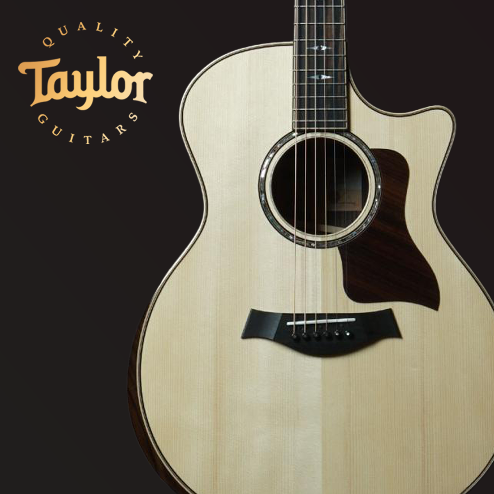 Taylor 814ce Acoustic Guitar (테일러 814ce 어쿠스틱 기타)