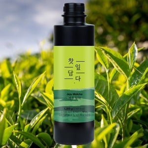 스위트컵 찻잎담다 제주 말차 1.2kg 그린티 녹차 라떼 베이스 농축액