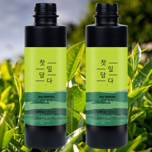 스위트컵 찻잎담다 제주 말차 1.2kg 6개 녹차 라떼 베이스 농축액