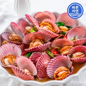 바른자연 통영 생물 홍가리비 1kg 25미 찜 캠핑 조개구이