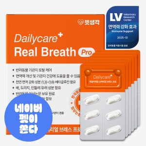 강아지 애견 상기도감염 폐렴 만성기침 영양제