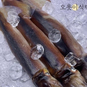 초코오징어 국산 급랭 활 숙회 통찜용