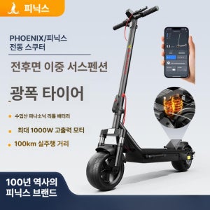 전동킥보드 출퇴근 접이식 60V 듀얼 퀵보드 프리미엄 6A-24Km