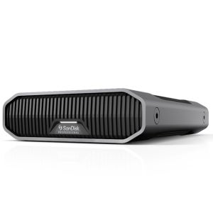샌디스크 외장하드 G-DRIVE USB C HDD 프로페셔널 10Gbps 12TB, 그레이