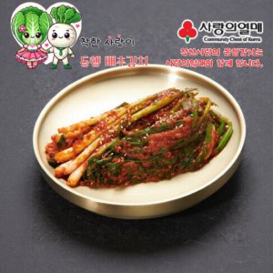 착한사랑의 동행 파김치 1KG 국내산 가격파괴