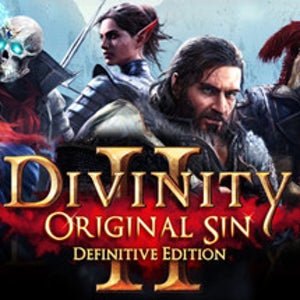 디비니티 오리지널 신 2 PC 스팀 NA 신규계정 Divinity Original Sin 2