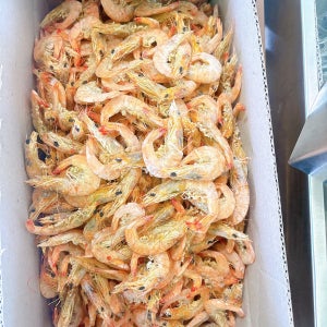 [여수 수협 산지직송] 건조 중하새우 1.5kg 도매전용 원물 / 무첨가 건어물 무료배송