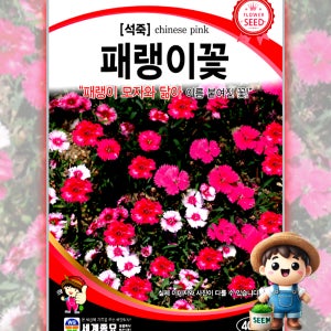 패랭이꽃 400립 원예 관상 조경 화단 용 꽃 씨 씨앗 종자 세계종묘