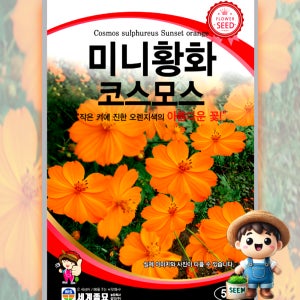 미니황화코스모스 50립 원예 관상 조경 화단 용 꽃 씨 씨앗 종자 세계종묘