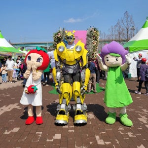 트랜스포머 포토존 행사 축제 포토존 로봇사진 로봇퍼포먼스 범블비대여