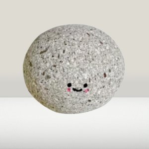 반려 돌멩이 애완돌 반려돌 키우기 애완용 돌 돌멩이