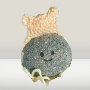 반려 돌멩이 애완돌 반려돌 키우기 애완용 돌 돌멩이