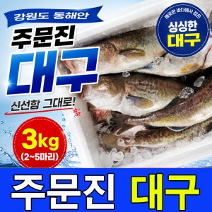 주문진 국내산 생물 대구 3kg를 신선도 유지를 위해 급속냉동하여 발송 2~5마리 통대구