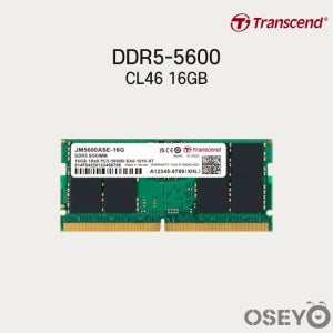 트랜센드 노트북 DDR5-5600 CL46 (16GB)