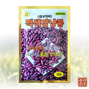 적색강낭콩 30g 동원 씨 왜성적피 비덩굴성 강낭콩 종자 다채 치커리 겨자 시저스 상추 비타민채 케일