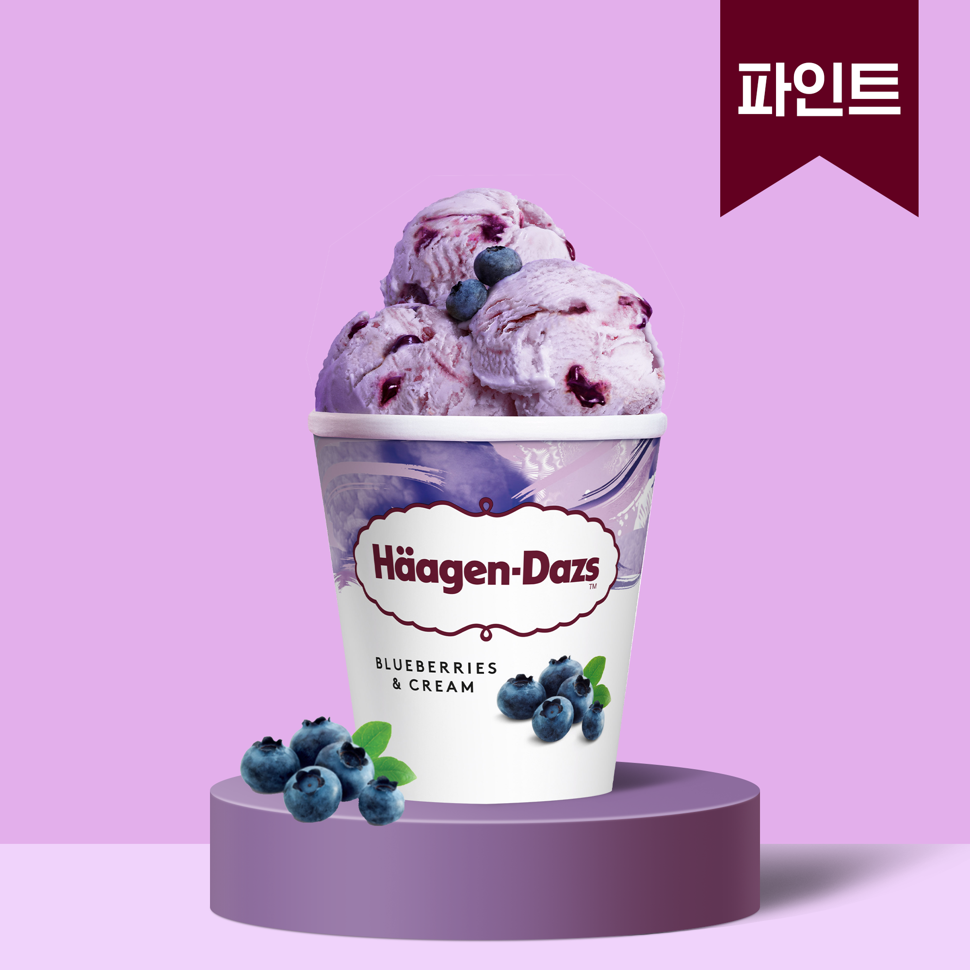 하겐다즈 블루베리 앤 크림 제품 이미지