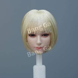 i8toys 세레네하운드 케르베로스 1/6 피규어 커스텀 마그네틱 식모가발