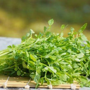 밭 미나리 청도 한재 미나리 한단 생미나리 돌미나리