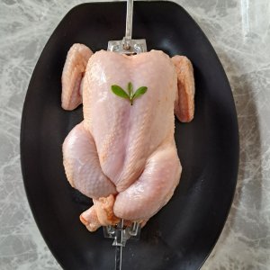 국내산 무염 전기구이용 통정육 도매 에어프라이