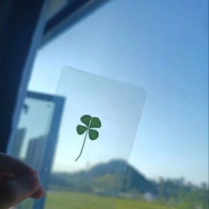 광고 메인 이미지