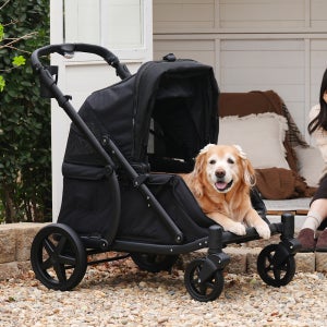 폼포라펫 디럭스 웨건 중형견 대형견 애견 강아지유모차 펫웨건 다견 저상형 개모차